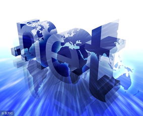 电子商务的浪潮 电子技术驱动下的社会变革与影响